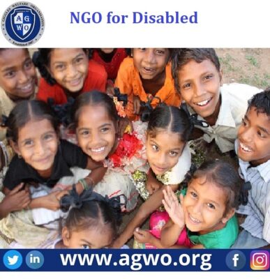 AGWO Review