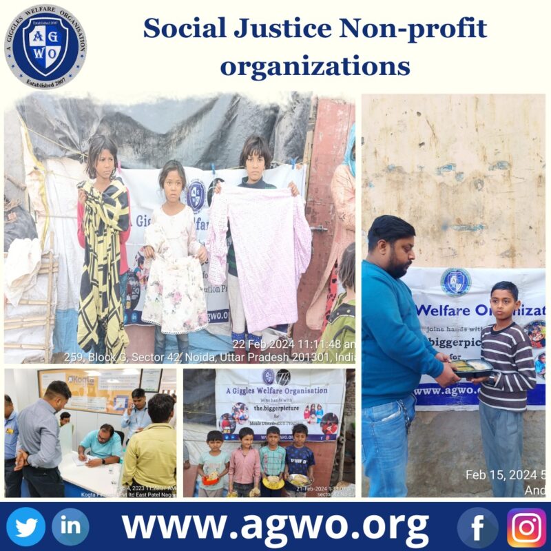 Social Justice Non-profit organizations