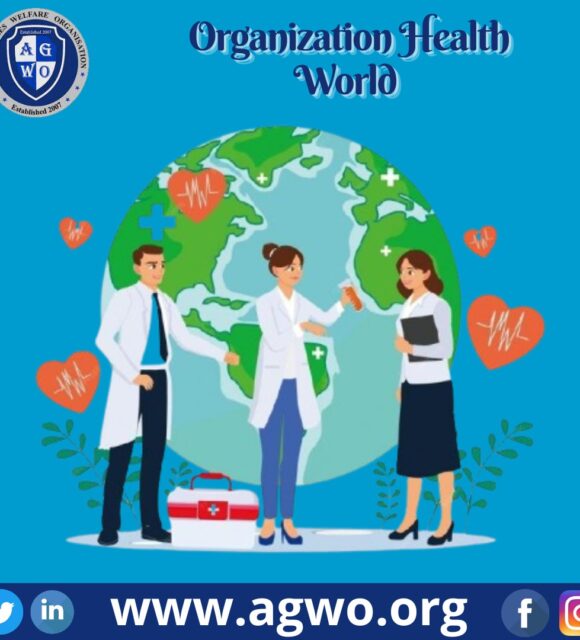 Organization Health World