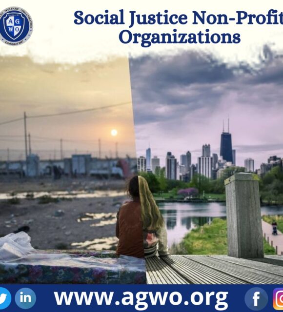 Social Justice Non-Profit Organizations